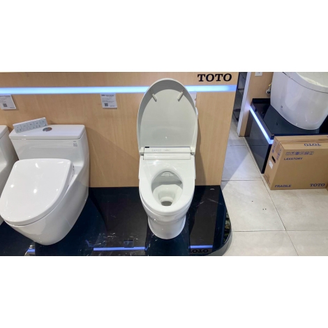 Bồn Cầu Điện Tử TOTO CS769CDRW15 Washlet
