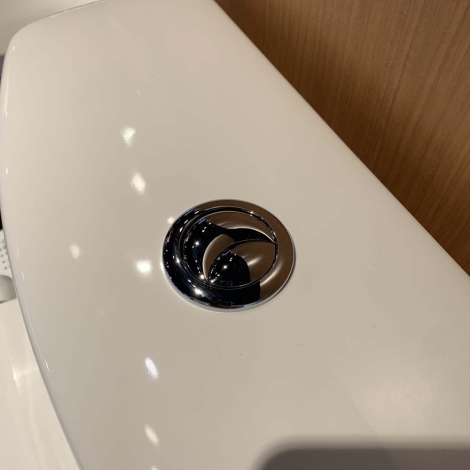 Bồn Cầu Điện Tử TOTO CS769CDRW17 Nắp Rửa Washlet TCF23460AAA C2 Giấu Dây
