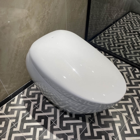 Bồn Cầu Neorest TOTO CS901KVT#NW1/T53P100VR NX II Thông Minh