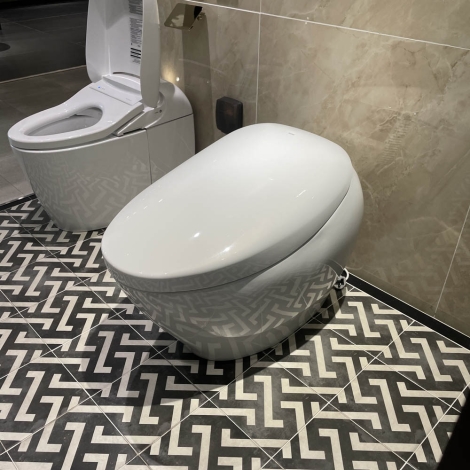 Bồn Cầu Neorest TOTO CS901KVT#NW1/T53P100VR NX II Thông Minh