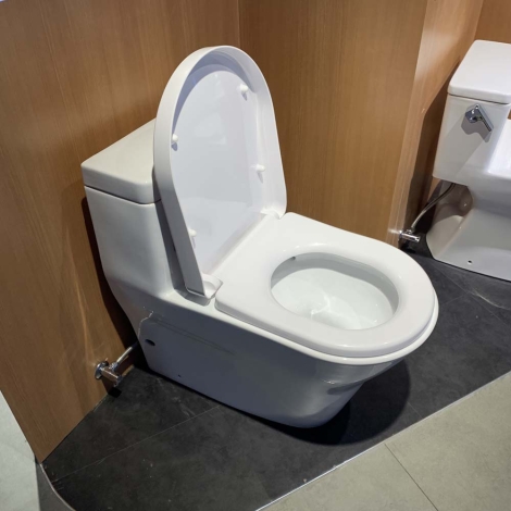 Bồn Cầu TOTO CW166RB/TC384CVK Một Khối Nắp Êm