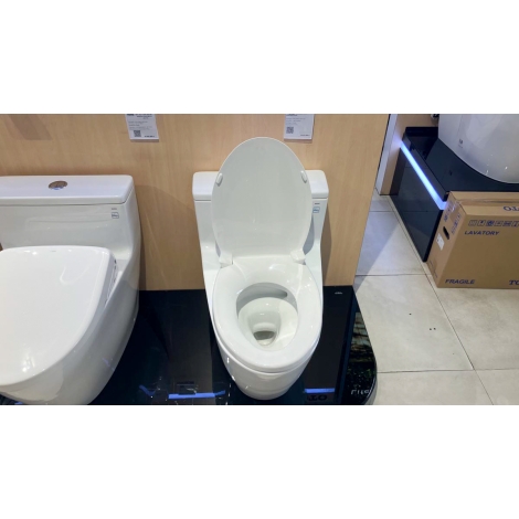Bồn Cầu TOTO MS625DT2 1 Khối Nắp Êm TC393VS