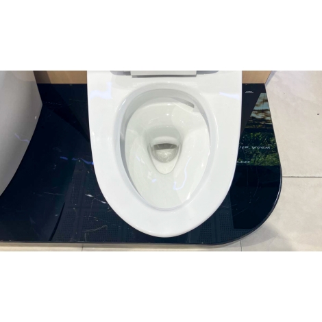 Bồn Cầu TOTO MS625DT2 1 Khối Nắp Êm TC393VS