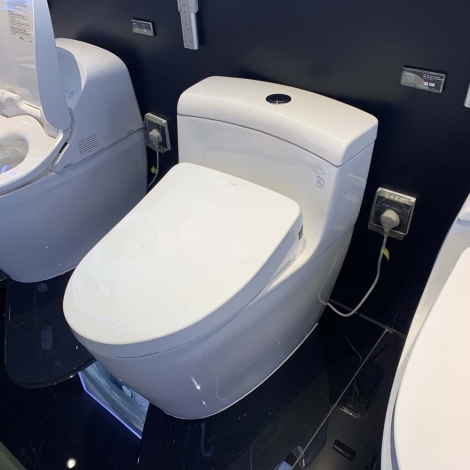 Bồn Cầu Điện Tử TOTO MS636CDRW12 Nắp Washlet Giấu Dây