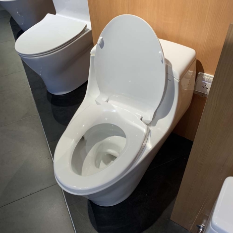 Bồn Cầu TOTO MS823DRT2 Một Khối Nắp TC393VS