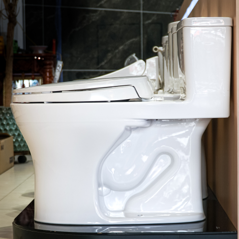 Bồn Cầu TOTO MS855DT2 Một Khối Nắp TC393VS