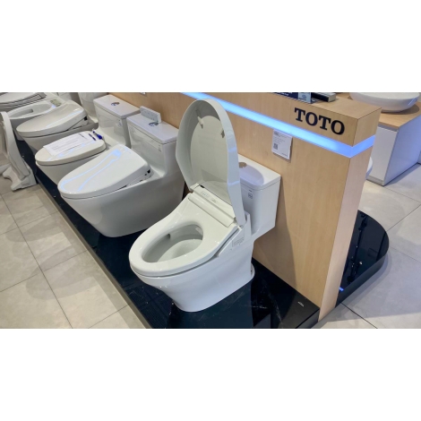 Bồn Cầu Điện Tử TOTO MS857CDW15 Nắp Rửa Washlet TCF24460AAA C5 Giấu Dây