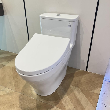 Bồn Cầu TOTO MS857DE4 Nắp Cơ Ecowasher TCW1211A