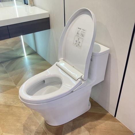 Bồn Cầu TOTO MS857DE4 Nắp Cơ Ecowasher TCW1211A