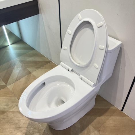 Bồn Cầu TOTO MS857DT8 1 Khối Nắp TC600VS