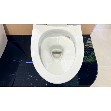 Bồn Cầu TOTO MS885DT3 1 Khối Nắp TC385VS