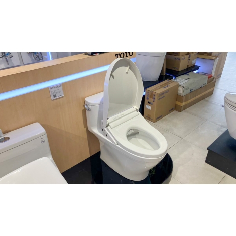 Bồn Cầu Điện Tử TOTO MS887CRW15 Washlet