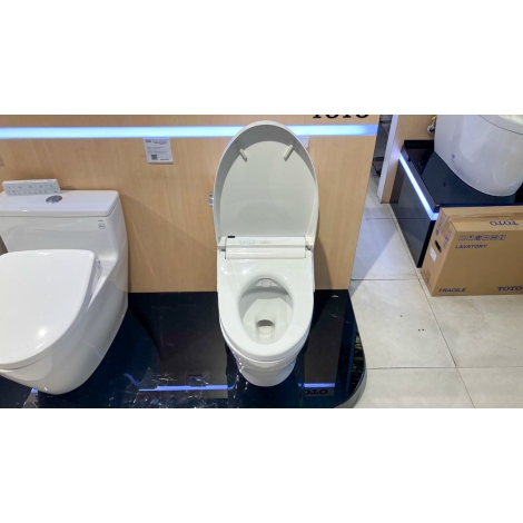 Bồn Cầu Điện Tử TOTO MS887CRW15 Washlet