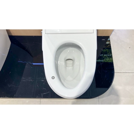 Bồn Cầu Điện Tử TOTO MS887CRW23 Nắp Rửa Washlet TCF47360GAA S7 Giấu Dây