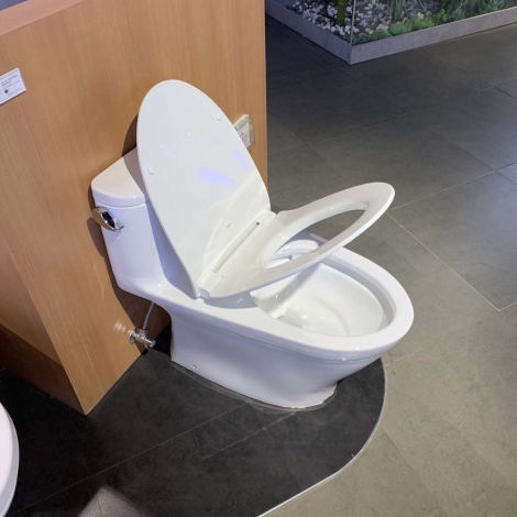 Bồn Cầu TOTO MS887RT8 (MS887T8) Một Khối Nắp TC600VS