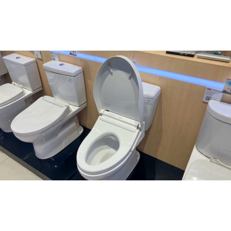 Nắp Rửa Điện Tử Washlet TOTO TCF24460AAA (W15) Giấu Dây
