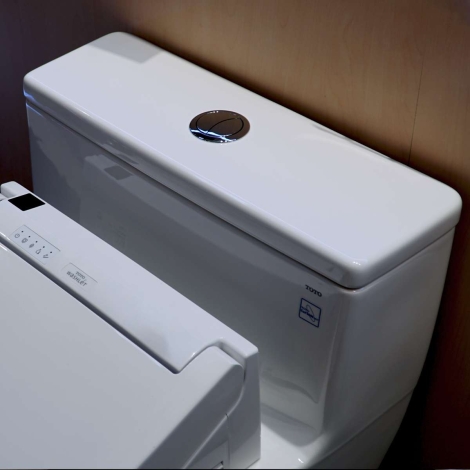 Bồn Cầu Điện Tử TOTO MS625DW14 Washlet TCF24410AAA C5