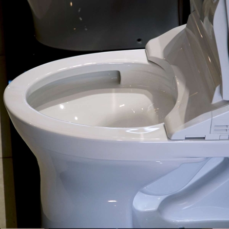 Bồn Cầu Điện Tử TOTO MS855DW14 Washlet