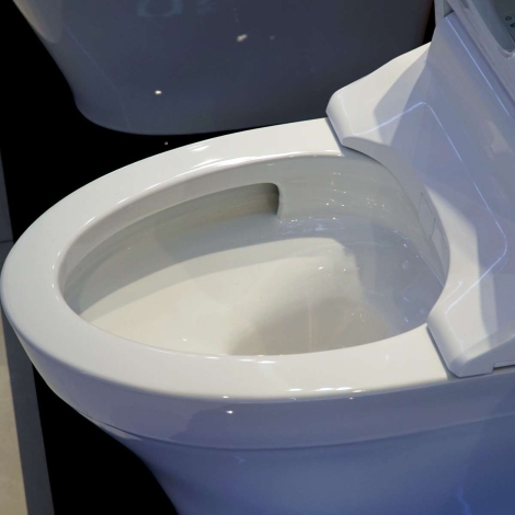 Bồn Cầu Điện Tử TOTO MS885DW14 Washlet