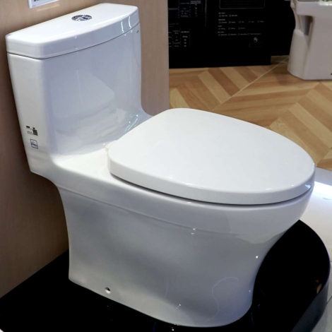 Bồn Cầu TOTO MS889DRT2 (MS889DT2) 1 Khối Nắp TC393VS